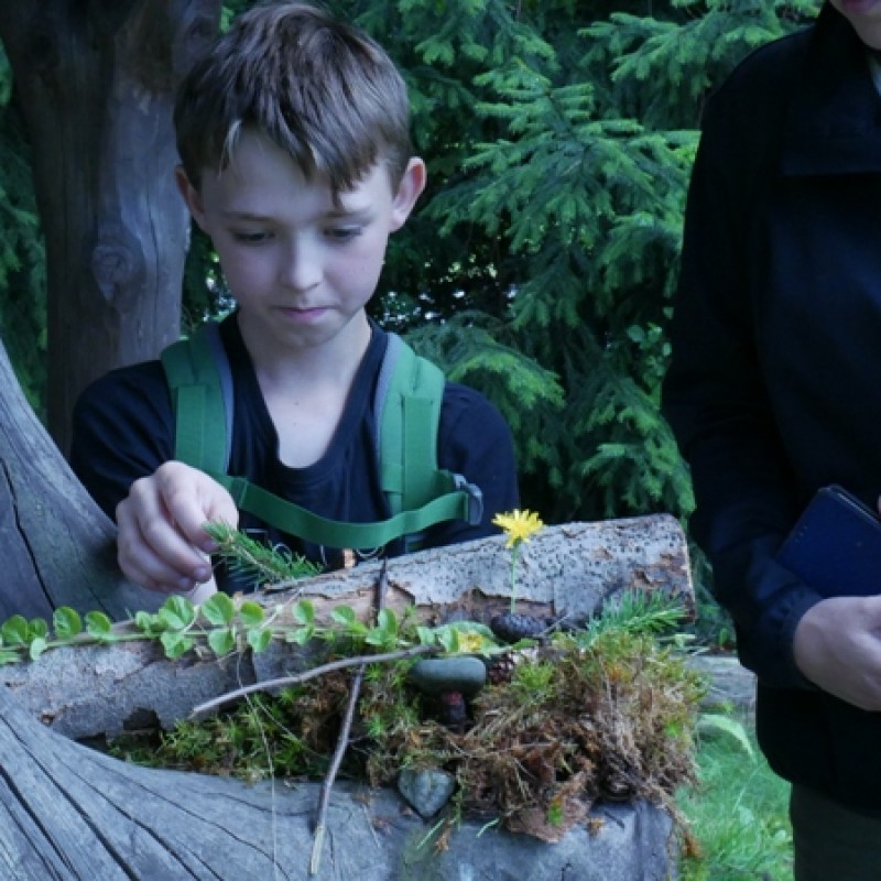 Chłopczyk poprawia konstrukcję z leśnych kwiatów, drzewa i liści, którą trzyma w dłoni. 