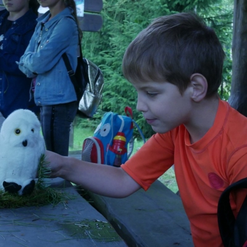 Chłopczyk dotyka ręką sztuczną, białą sowę.