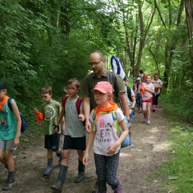 Dzieci podczas spaceru na wycieczce w lesie w obecności pana przewodnika.