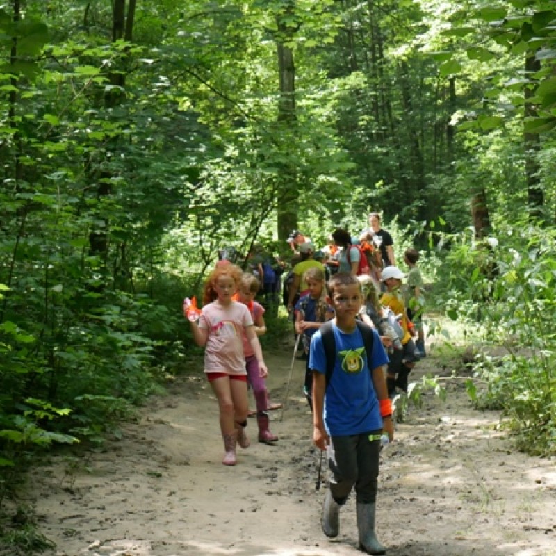 Dzieci idą w stronę kamery po leśnej ścieżce.