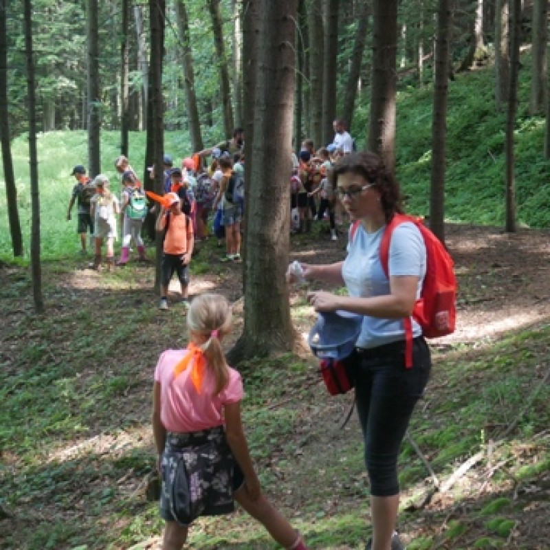 Dzieci podczas wycieczki do lasu, na pierwszym planie pani rozmawia z dziewczynką, w tle grupa pozostałych wycieczkowiczów.