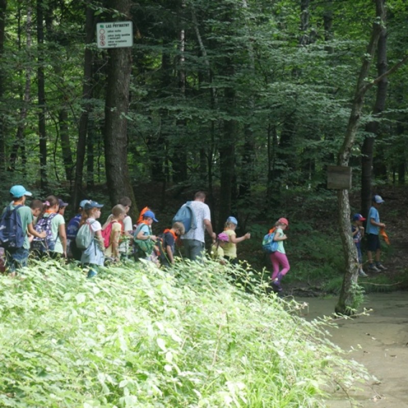 Grupa dzieci na wycieczce w lesie. 