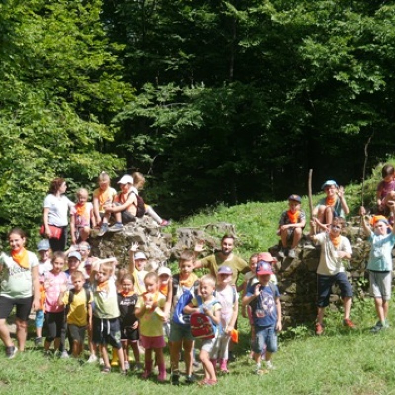 Dzieci pozują do zdjęcia na górce w lesie w słoneczny dzień.